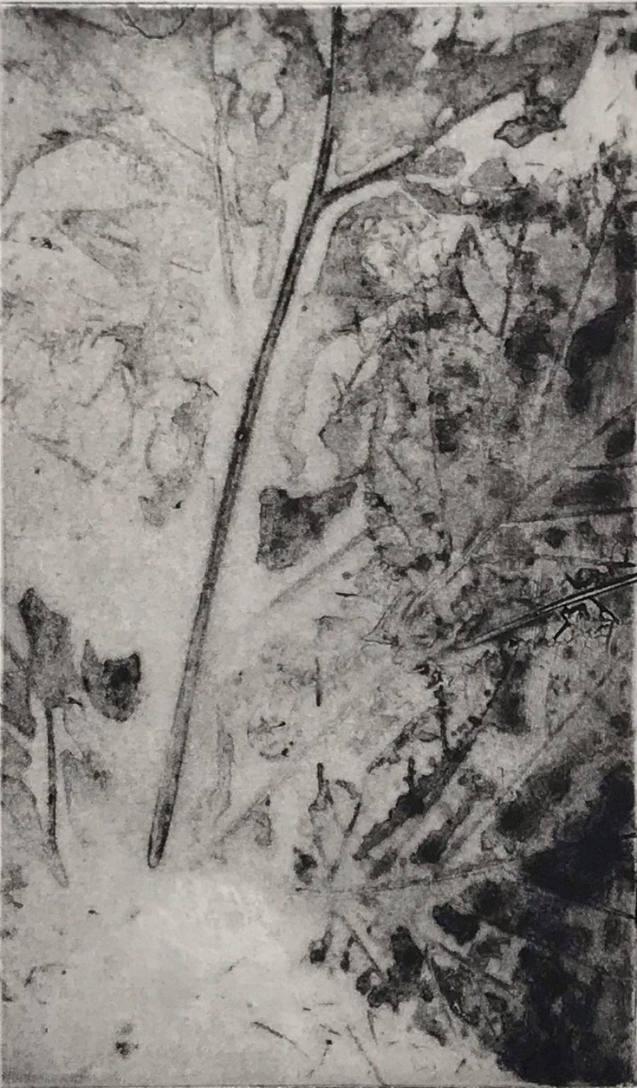 Renaud Allirand : XIX