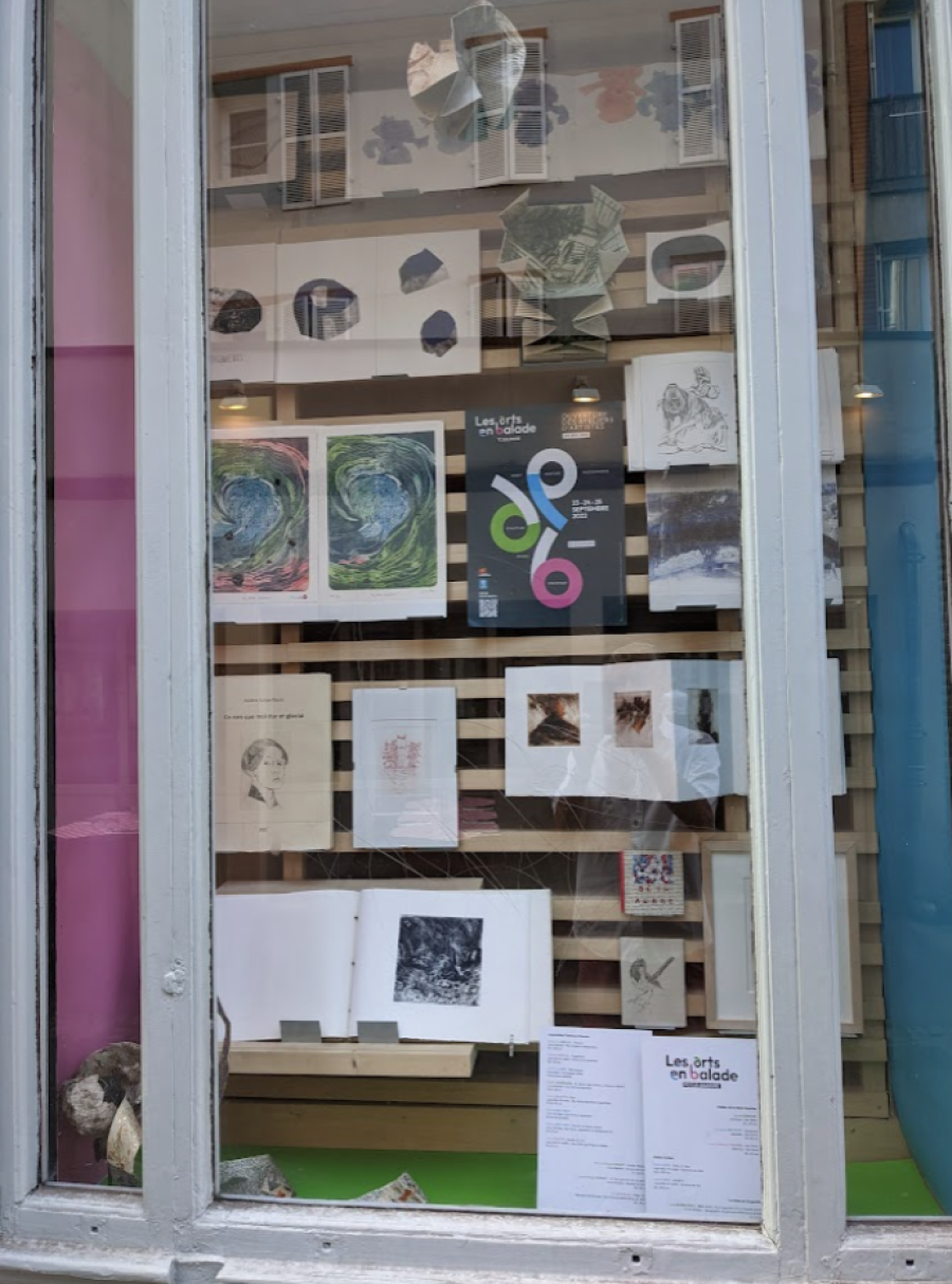 Une des vitrines de la librairie Ombres Blanches dédiée aux livres d'artistes