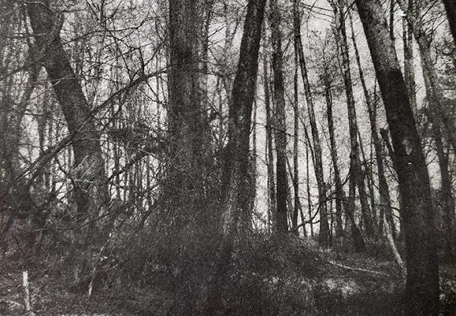 Tirage photogravure photopomlymère / @Luc Médrinal.