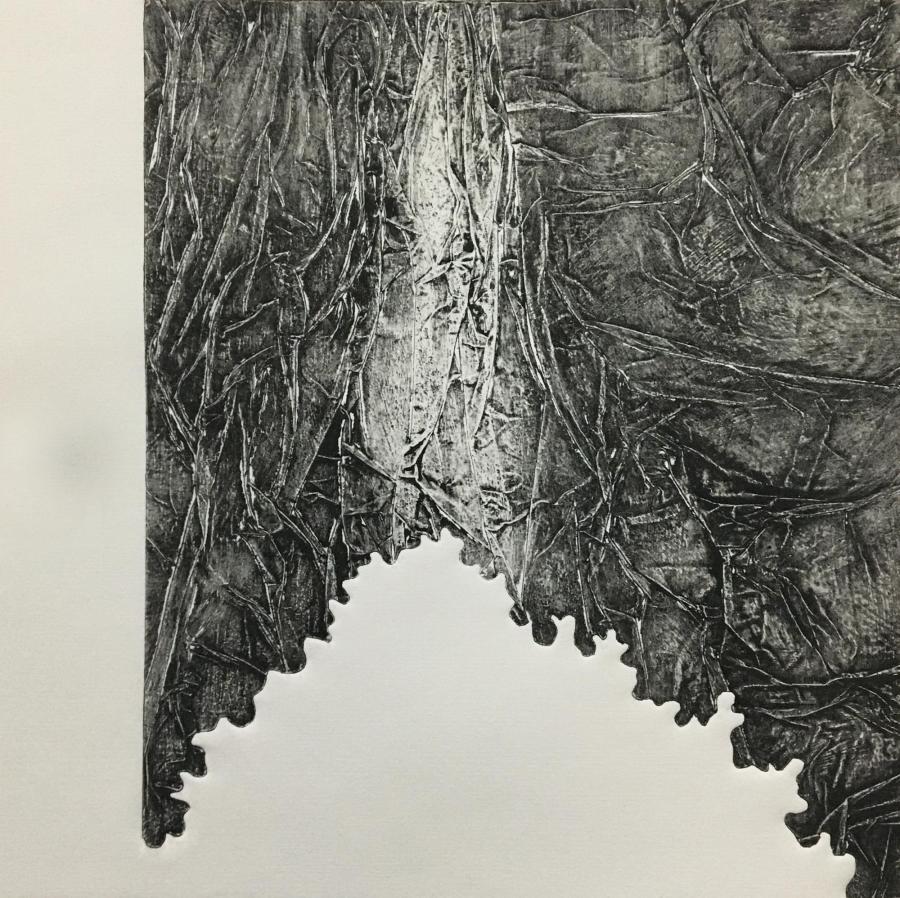 Photo d'illustration : FRACAS - collagraphie de Jean Noël Bonniot, édition d'artiste imprimée à l'atelier pour l'exposition "carte blanche 4"- Juillet 2023