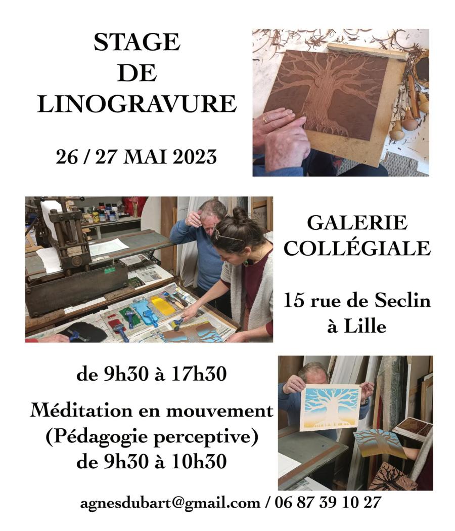 STAGE à LILLE