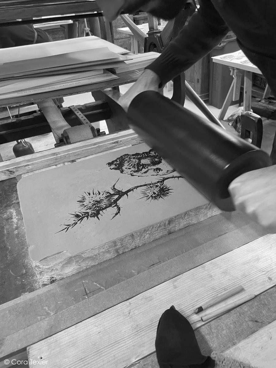 Encrage / @Cora texier