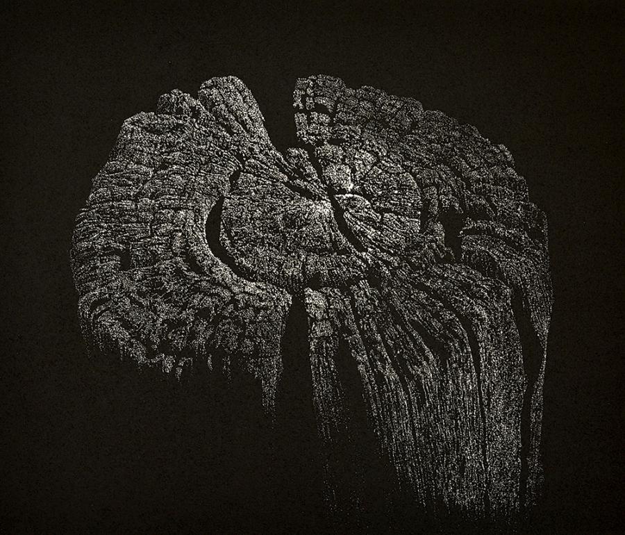 Silence IV, 2017