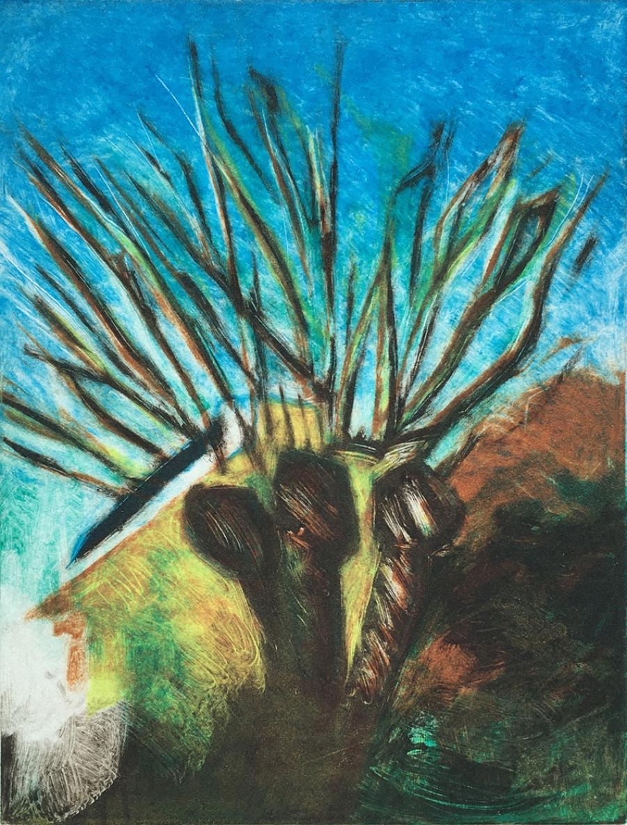 Monotype 24 7 4