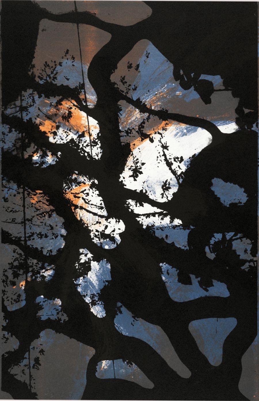 NOCTURNE