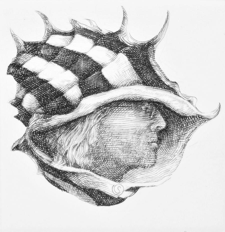 Dans la coquille chinoise, 2017