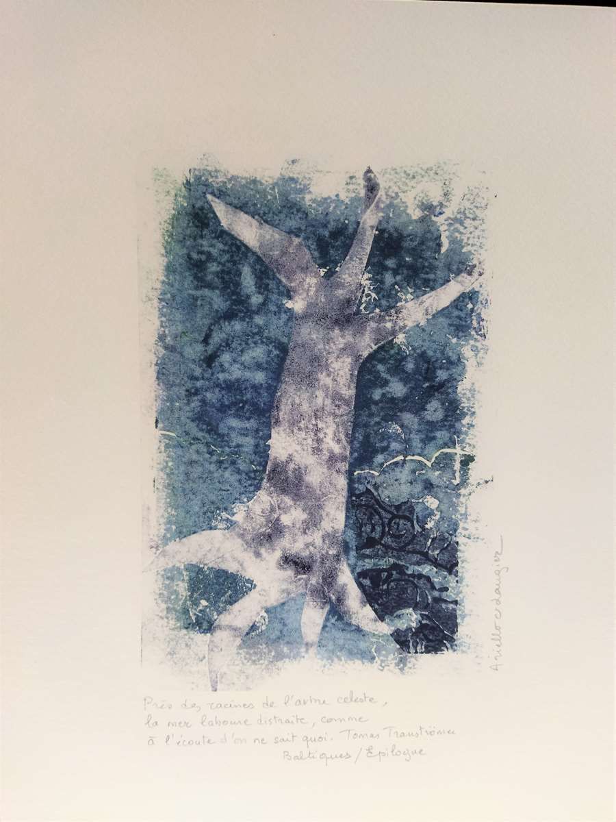 arbre céleste