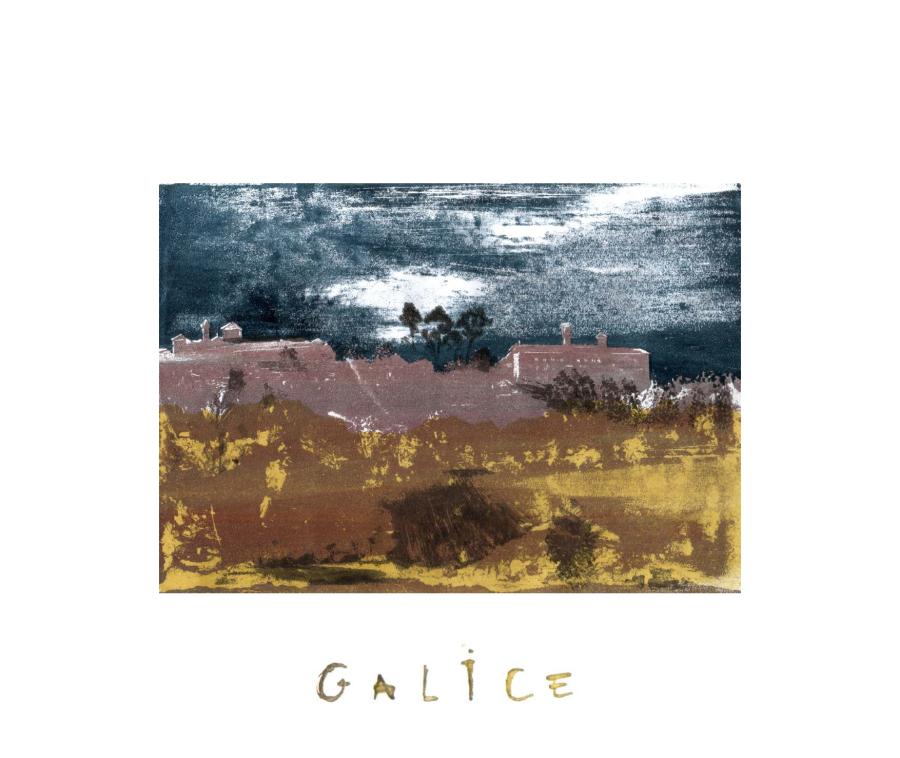 Sylvain Konyali, Galice, sérigraphie, 21 x 32 cm, 2024. Pigments utilisés : fleurs d'œillet d'Inde (jardin personnel), noix de galle (Galice), brou de noix (Ariège), terre récoltée (Ariège), indigo (de Persicaire du Vaucluse).